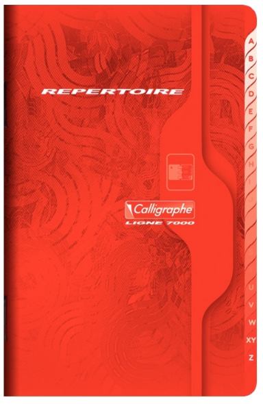 CARNET REPERTOIRE - PIQURE - 11X17 - 96P - 5X5 