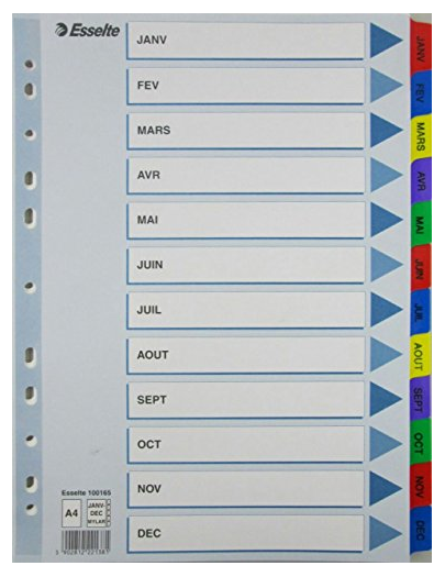 INTERCALAIRE  MYLAR  A4 MENSUEL