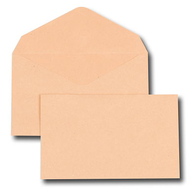 1000 ENVELOPPES P/ELECT.90X140 BUL.64G PNG