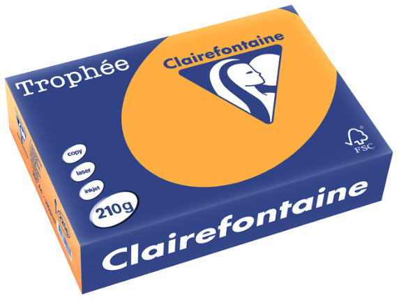 250 feuilles CLEMENTINE 210G A4