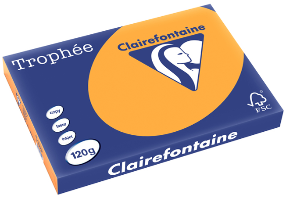 250 feuilles CLEMENTINE A3 120G