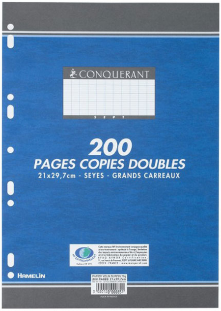 200 COPIES DOUBLES A4 SEYES BLANC 70G PERFOREES