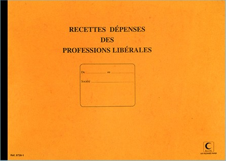 PIQURE JOURNAL "RECETTES/DEPENSES" PROFESSIONS LIBERALES