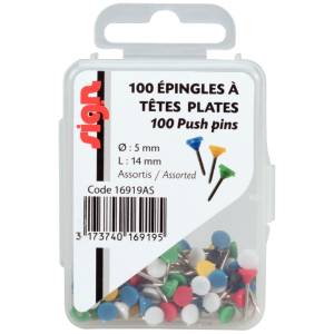 BOITE 100 EPINGLES TETE PLATE 5MM C.ASS