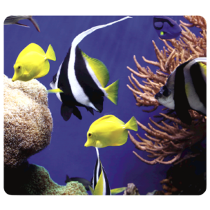 TAPIS SOURIS RECYCLED MOUSEPAD  - UNDER THE SEA