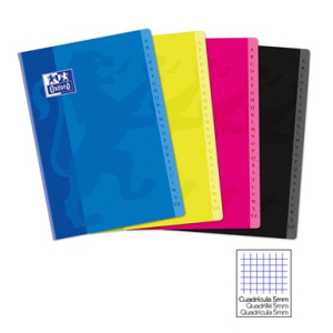 CAHIER REPERTOIRE PIQURE A4 96P 5X5 90G