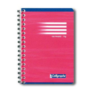 CARNET SPIRALE 90X140 100PG 5X5 S.C.