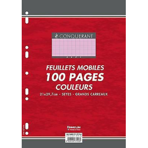 100 FEUILLETS MOBILES- FEUILLES SIMPLES A4 SEYES ROSE 80G PERFOREES