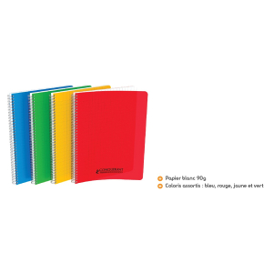 CAHIER SPIRALE-RELIURE INTEGRALE  A4 COUVERTURE POLYPRO 5X5 100P