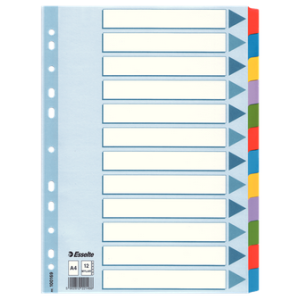 INTERCALAIRE MYLAR A4 12 POSITIONS 