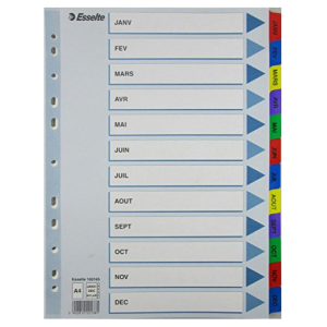 INTERCALAIRE  MYLAR  A4 MENSUEL