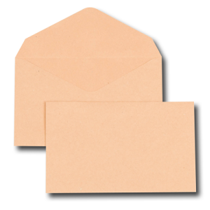 1000 ENVELOPPES ELECTION 90X140 BULLE 64G PNG