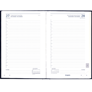 AGENDA CARRE 1 J/P  PERPETUEL CAISSE 