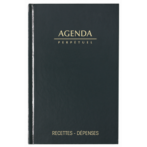 AGENDA CARRE 1 J/P  PERPETUEL RECET/DEPENS.  