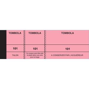 BLOC TOMBOLA 50X150 MM  3 VOLETS ROSE