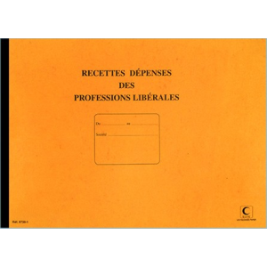 PIQURE JOURNAL "RECETTES/DEPENSES" PROFESSIONS LIBERALES