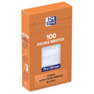 100 FLES BRISTOL BLANC 75X125 UNI