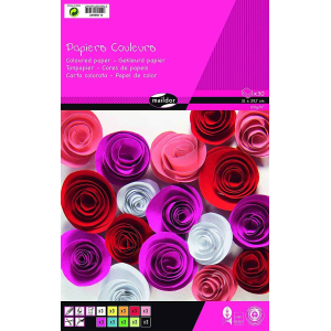 BLOC PAPIER COULEURS 30F A4 120G