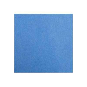 25F CARTOLINE 120G 50X65CM BLEU VIF