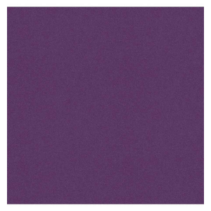 25F CARTOLINE 120G 50X65CM VIOLET