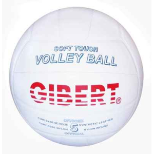 BALLON VOLLEY BALL CUIR T.5 Ø 21CM