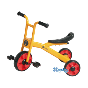 MOYEN TRICYCLE ECO