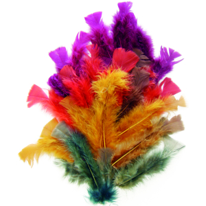 PLUMES AUTOMNE COLORIS ASSORTIS 25G